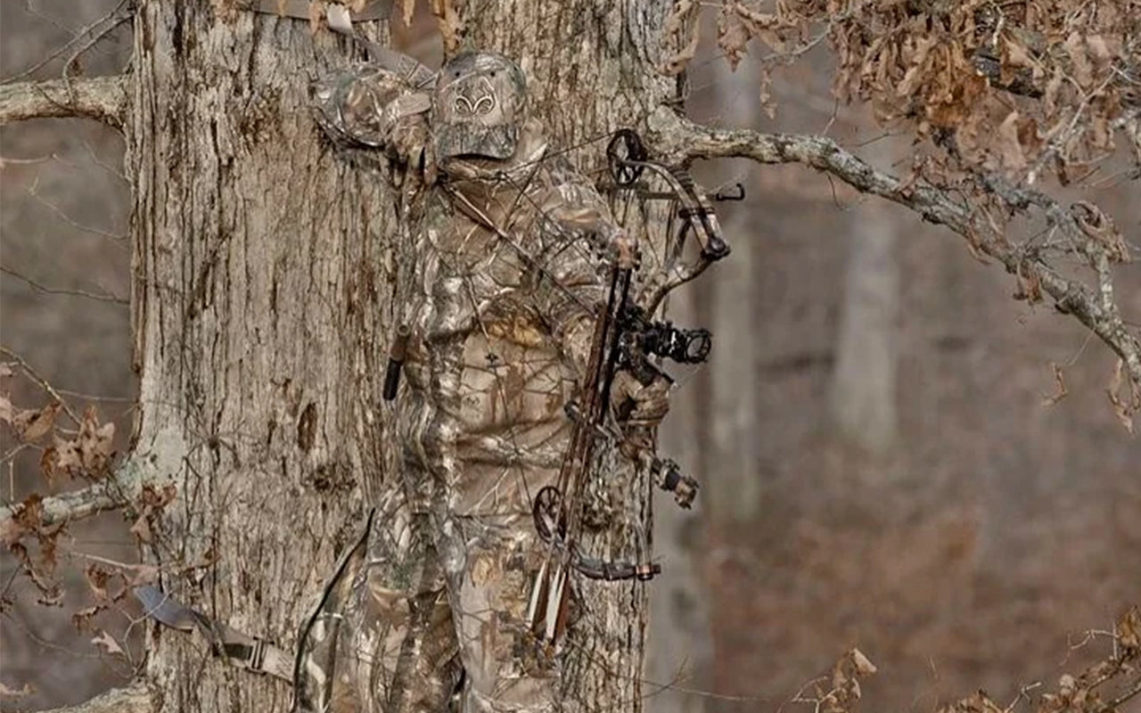 Selection and Introduction of Camouflage Patterns