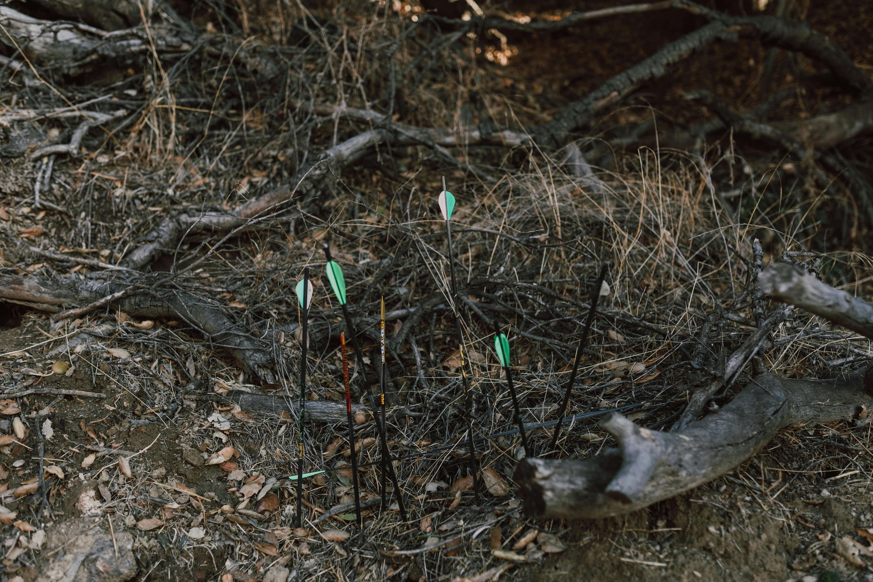 2025 Hunting Season (Washington, Hawaii, South Dakota, Maine)